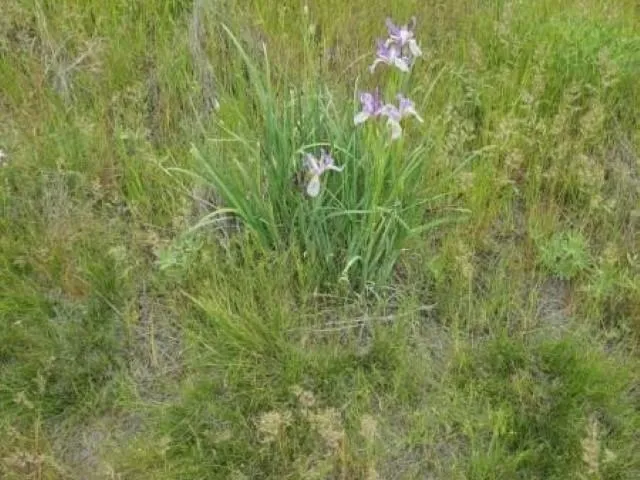 $160,000 | Tbd North Earl Road, Davenport, WA 99122