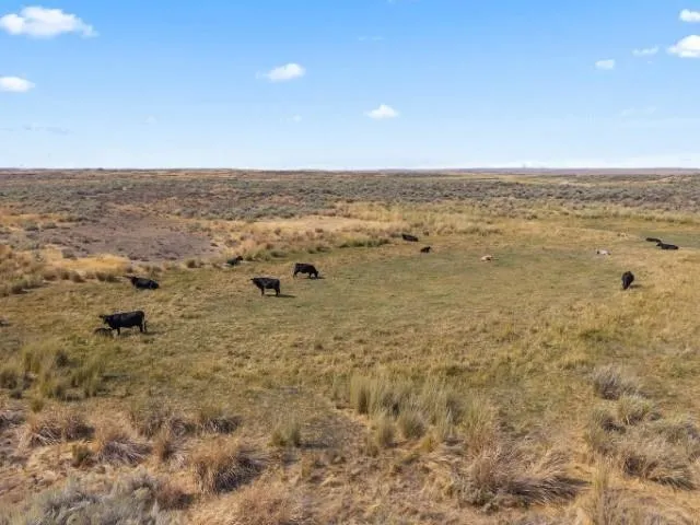 $160,000 | Tbd North Earl Road, Davenport, WA 99122