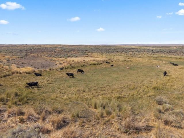 Tbd North Earl Road Davenport, WA 99122 - Photo 29 of 29