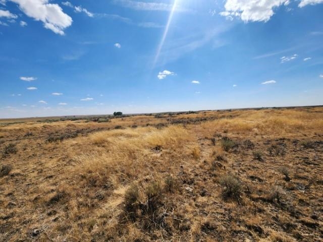 Tbd North Earl Road Davenport, WA 99122 - Photo 4 of 29