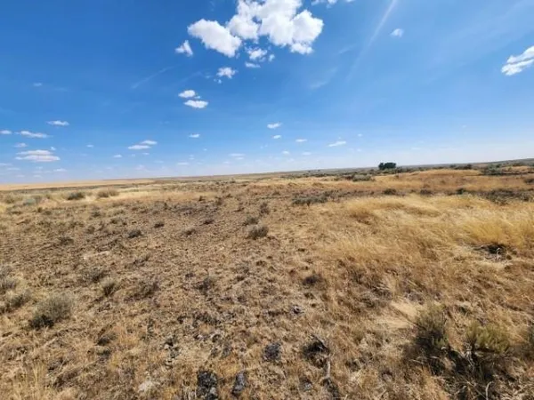 $135,000 | Tbd North Earl Road, Davenport, WA 99122