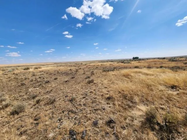 $160,000 | Tbd North Earl Road, Davenport, WA 99122