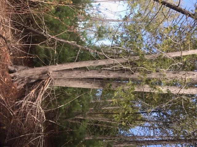 0 Plains Road Mount Vernon, ME 04352 - Photo 4 of 13 Photo