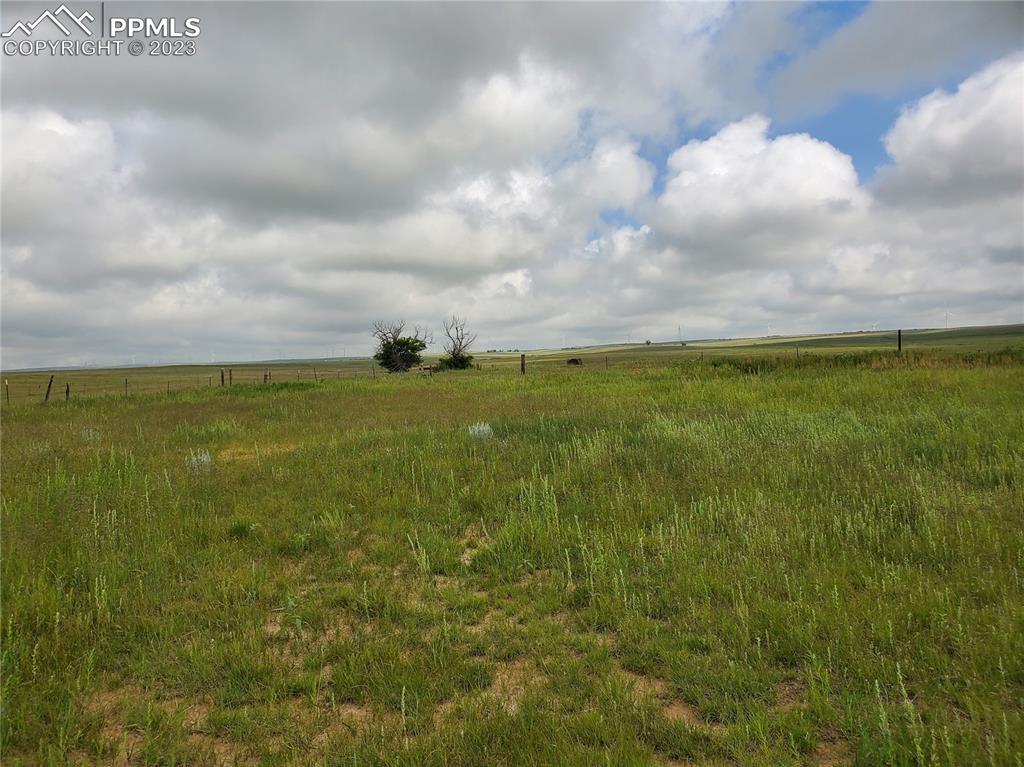 31770 Big Springs Road Calhan, CO 80808 - Photo 7 of 17 a view of a big yard with lots of green space