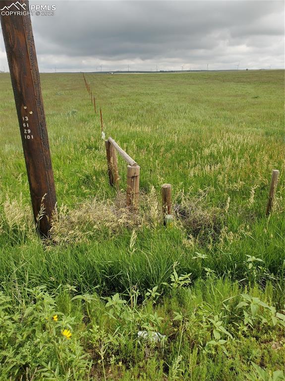 31770 Big Springs Road Calhan, CO 80808 - Photo 8 of 17 a view of a garden
