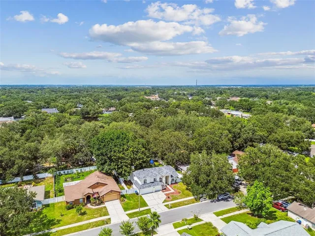 $410,000 | 10320 Ashley Oaks Drive, Riverview, FL 33578