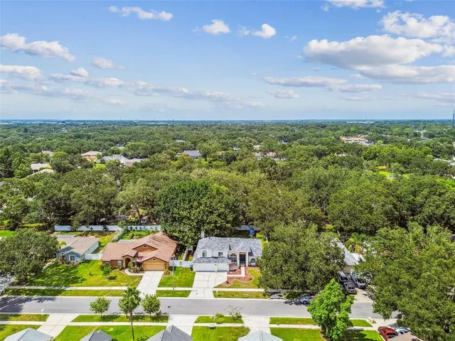 $410,000 | 10320 Ashley Oaks Drive, Riverview, FL 33578