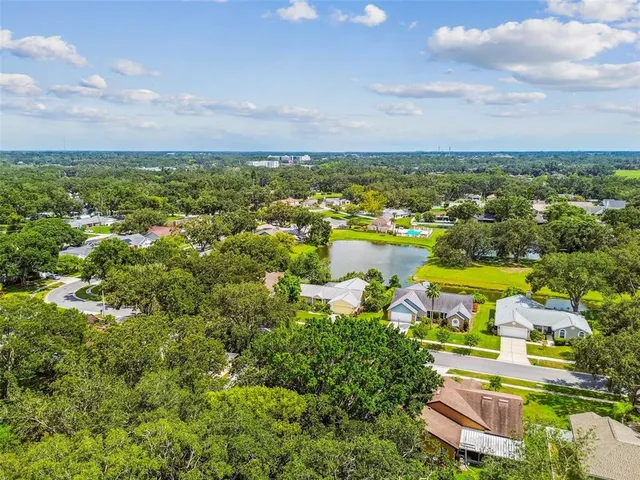 $410,000 | 10320 Ashley Oaks Drive, Riverview, FL 33578