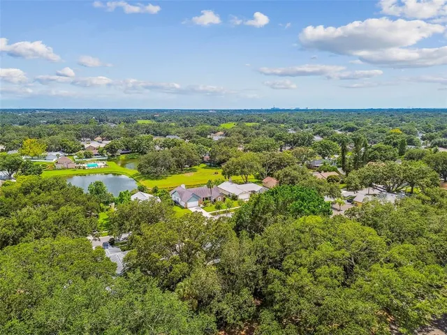 $410,000 | 10320 Ashley Oaks Drive, Riverview, FL 33578