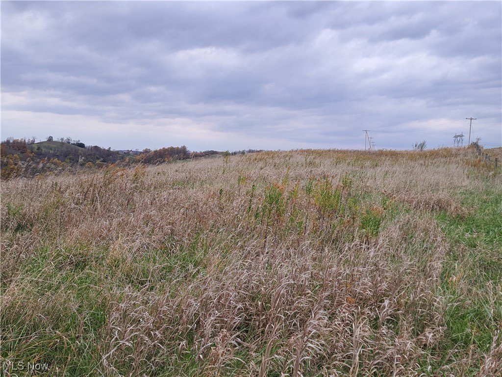 0 Winstead Road Quaker City, OH 43773 - Photo 13 of 16 Pasture with fenceline along road