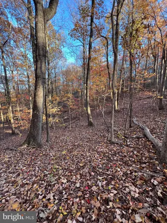 $65,000 | 0 Timberline Ridge Road, Front Royal, VA 22630