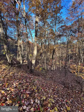 $65,000 | 0 Timberline Ridge Road, Front Royal, VA 22630