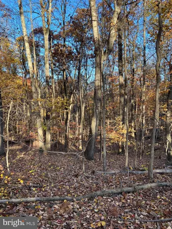 $65,000 | 0 Timberline Ridge Road, Front Royal, VA 22630