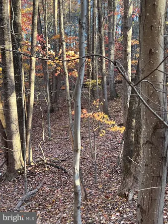 $65,000 | 0 Timberline Ridge Road, Front Royal, VA 22630