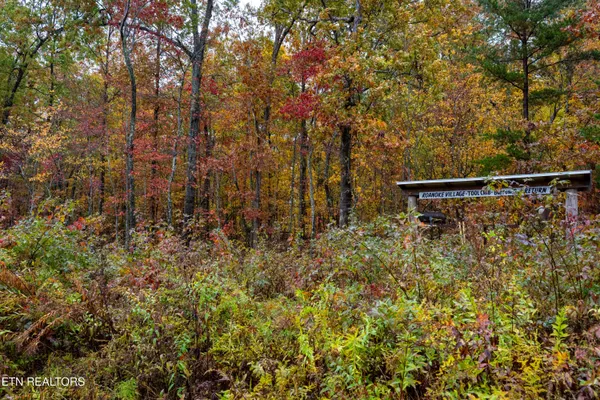 $80,000 | 0 Roanoke Road, Jamestown, TN 38556