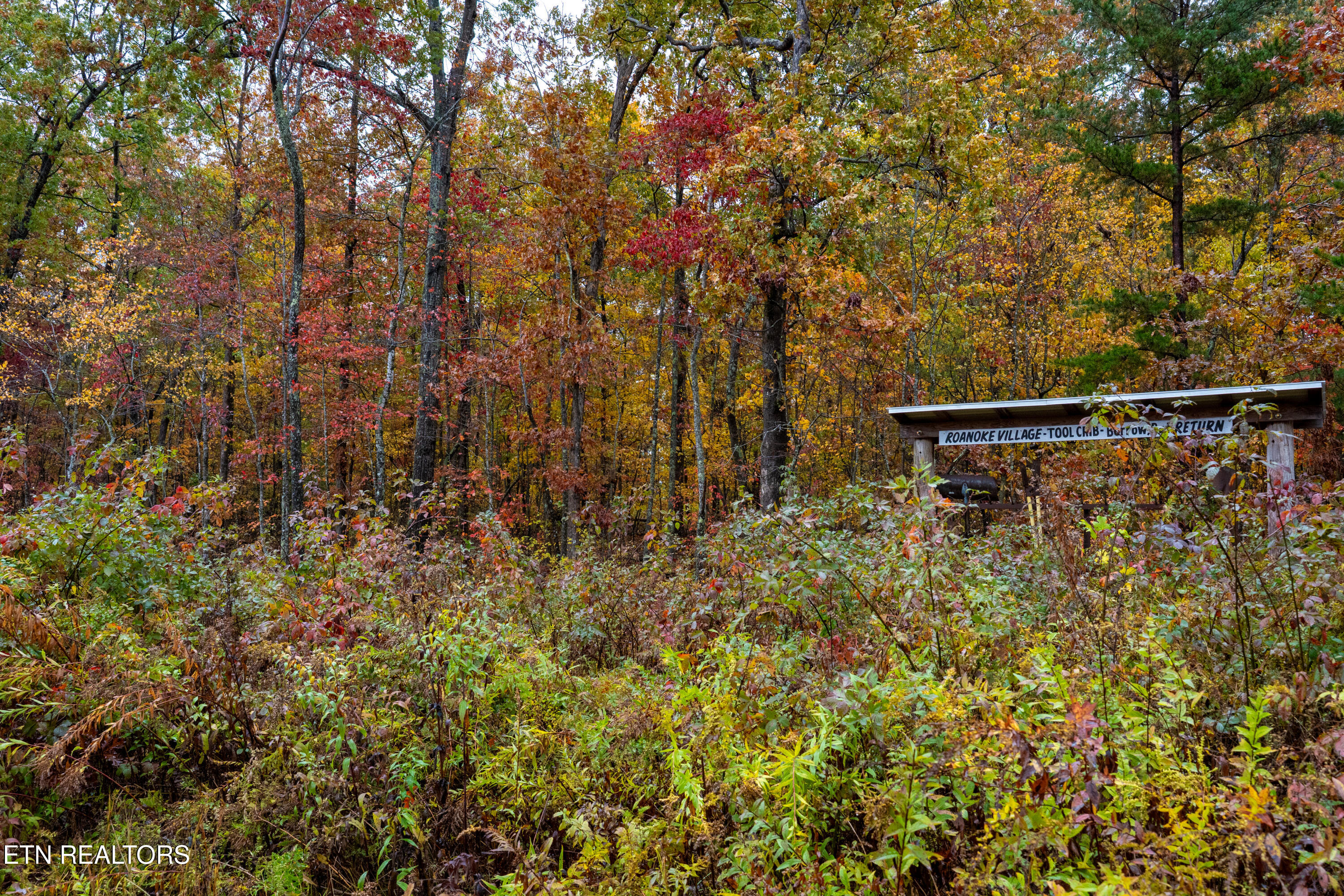 0 Roanoke Road Jamestown, TN 38556 - Photo 11 of 19 Roanoke Rd-11