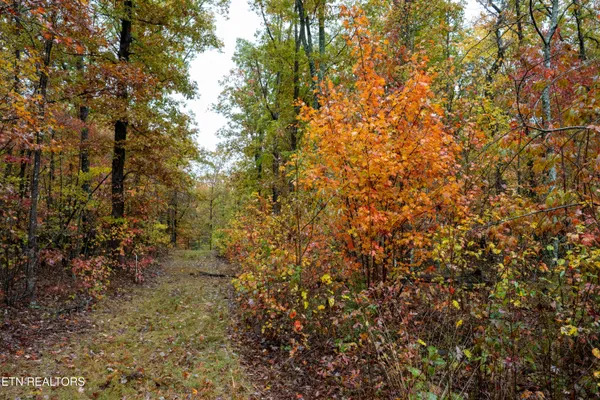 $80,000 | 0 Roanoke Road, Jamestown, TN 38556