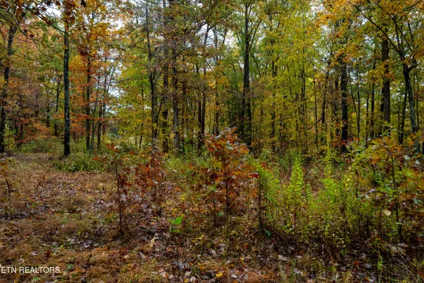 $80,000 | 0 Roanoke Road, Jamestown, TN 38556