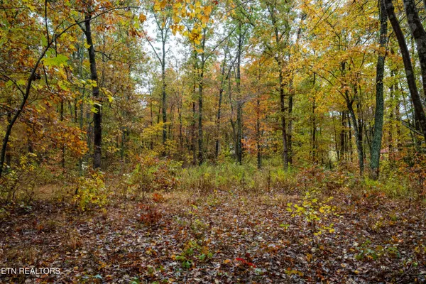 $80,000 | 0 Roanoke Road, Jamestown, TN 38556