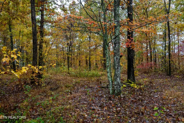 $80,000 | 0 Roanoke Road, Jamestown, TN 38556