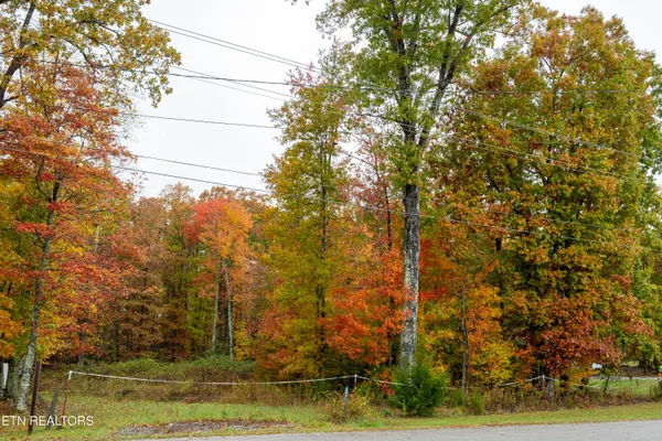 $80,000 | 0 Roanoke Road, Jamestown, TN 38556