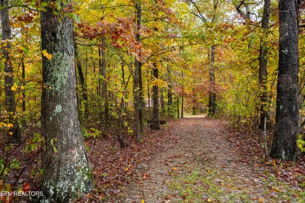 $80,000 | 0 Roanoke Road, Jamestown, TN 38556