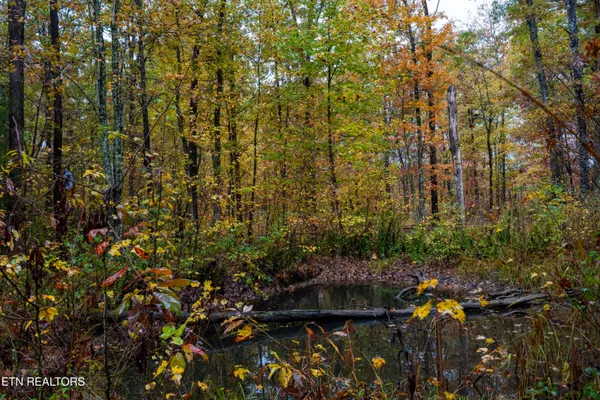 $80,000 | 0 Roanoke Road, Jamestown, TN 38556