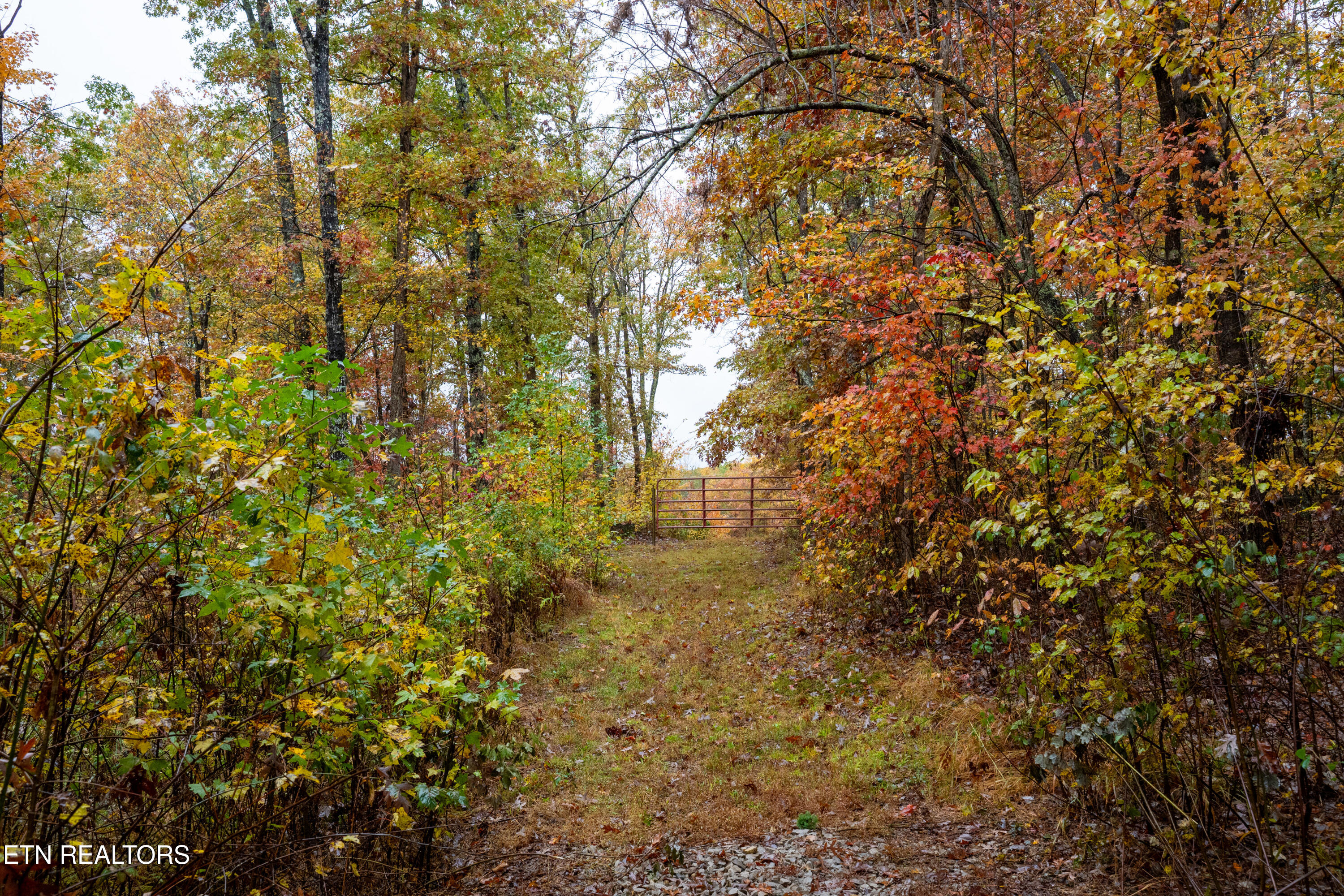 0 Roanoke Road Jamestown, TN 38556 - Photo 8 of 19 Roanoke Rd-8