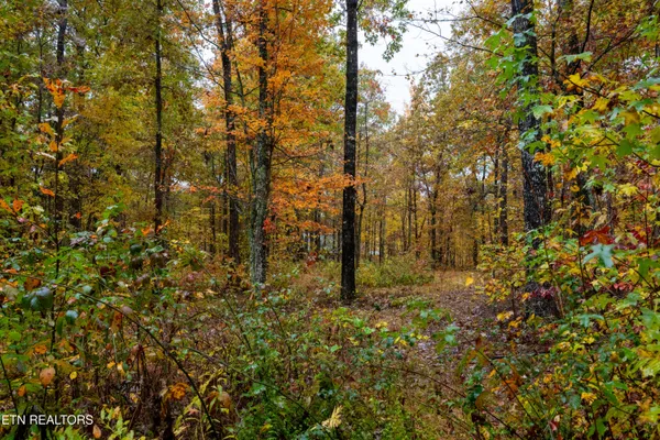 $80,000 | 0 Roanoke Road, Jamestown, TN 38556