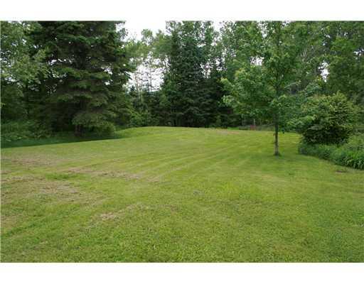 569 Drews Lake Road New Limerick, ME 04761 - Photo 18 of 21 Land.