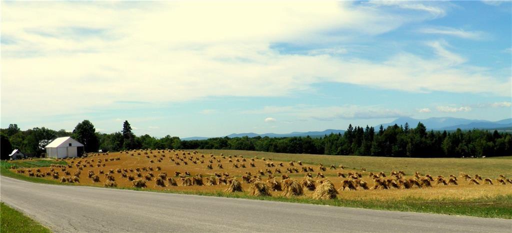 895 Golden Ridge Road Sherman, ME 04776 - Photo 4 of 6 Maine Land for Sale