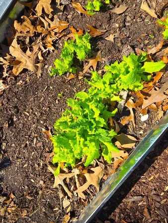 $929,000 | 300 Crawford Drive, Moneta, VA 24121