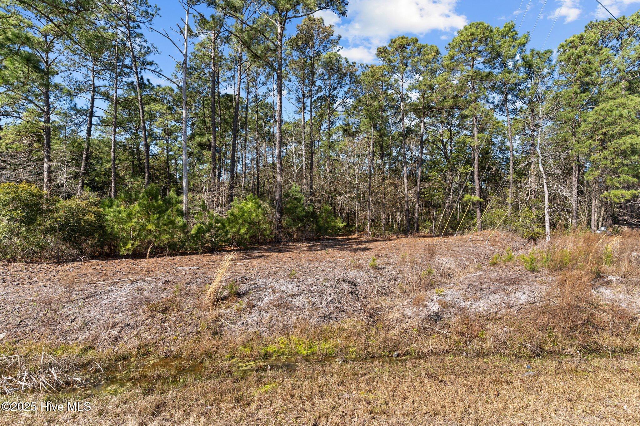 662 Bricklanding Road Southwest Shallotte, NC 28470 - Photo 4 of 13 2-web-or-mls-BTS02904