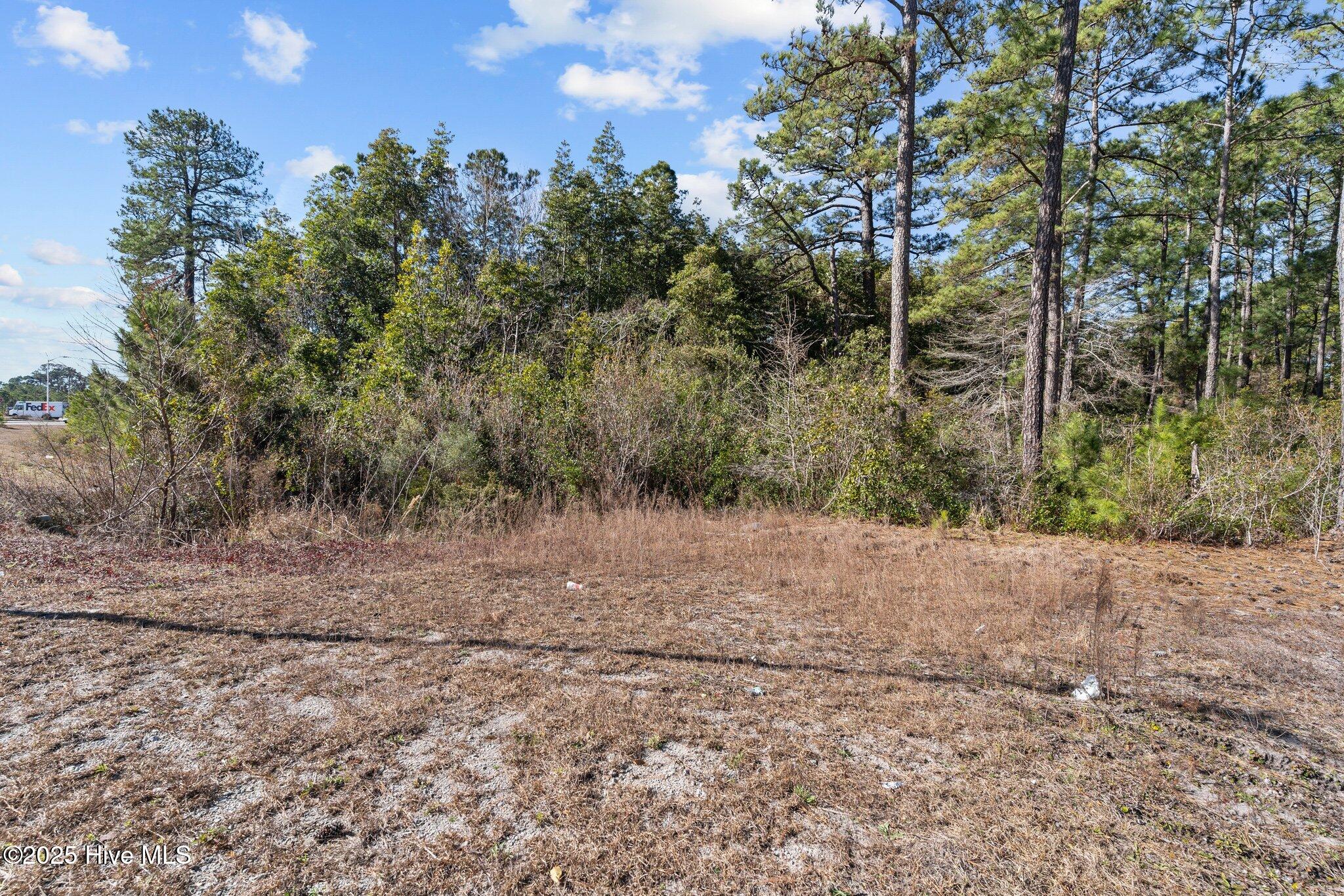 662 Bricklanding Road Southwest Shallotte, NC 28470 - Photo 5 of 13 3-web-or-mls-BTS02905