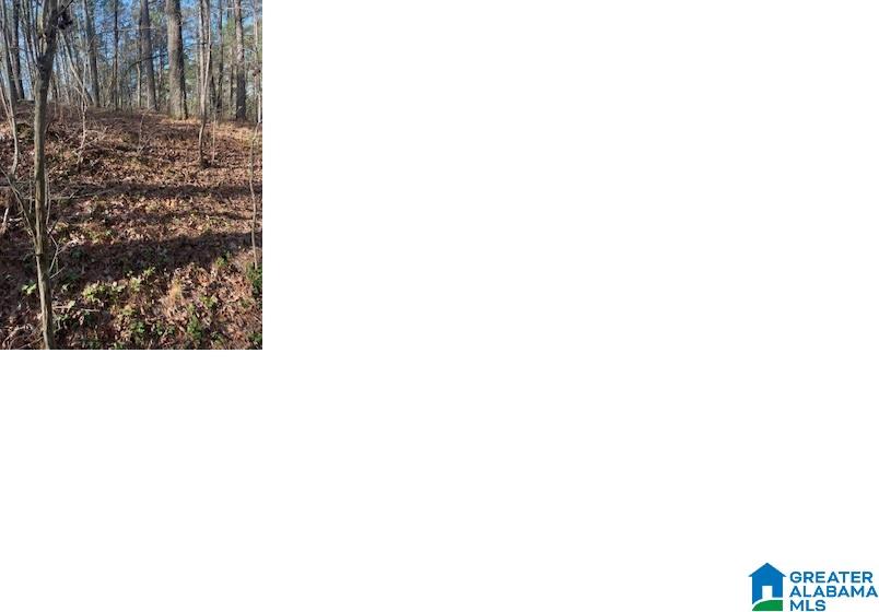 Pluto Circle, Unit 21 Alpine, AL 35014 - Photo 2 of 3