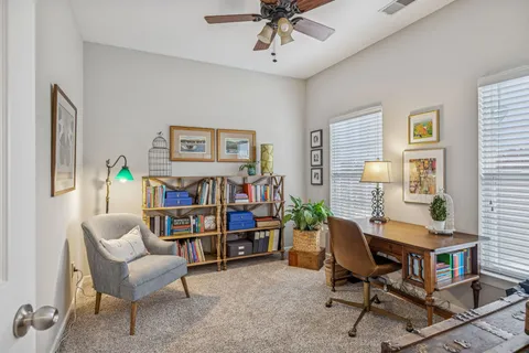 a view of a yard with a large trees