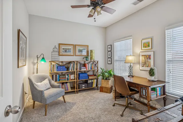 a view of a yard with a large trees