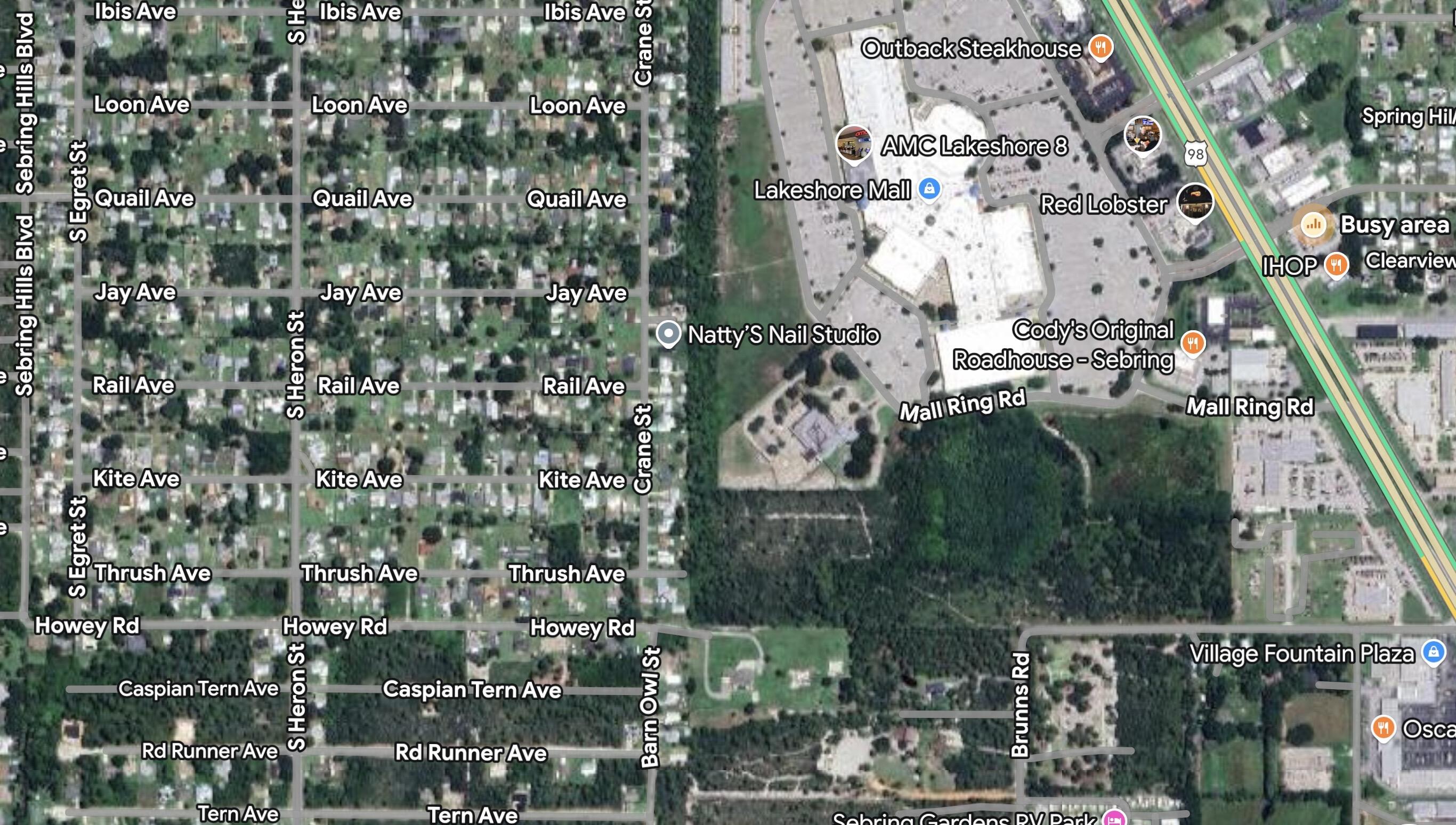 215 Roadrunner Avenue Sebring, FL 33870 - Photo 2 of 2 Area