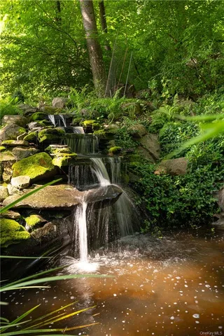 a view of a garden with plants