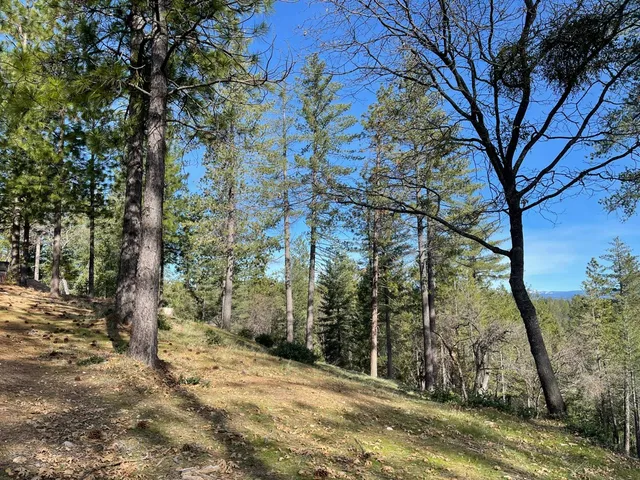 $127,500 | 6827 Gray Court, Foresthill, CA 95631