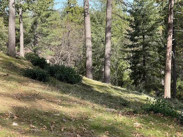 a view of a backyard of the house