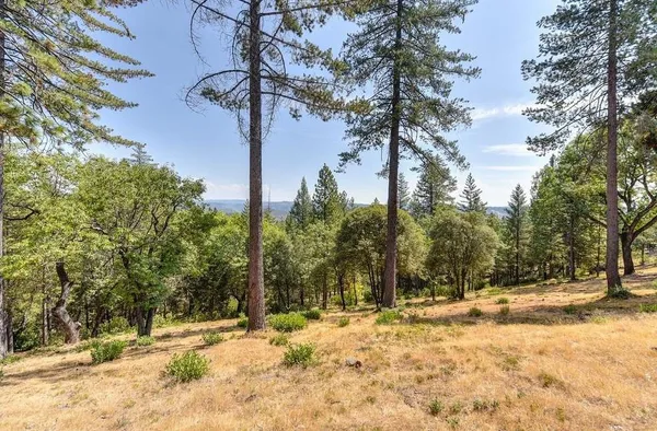 a view of a field with trees in the background