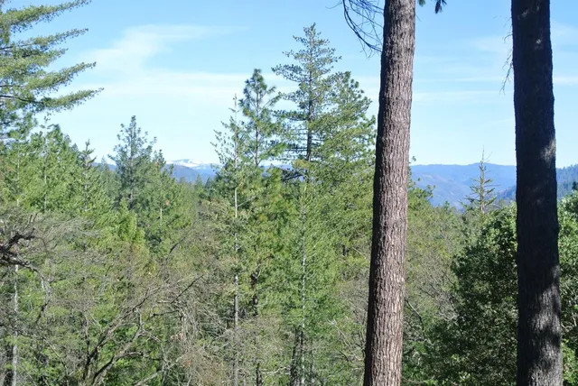 $127,500 | 6827 Gray Court, Foresthill, CA 95631