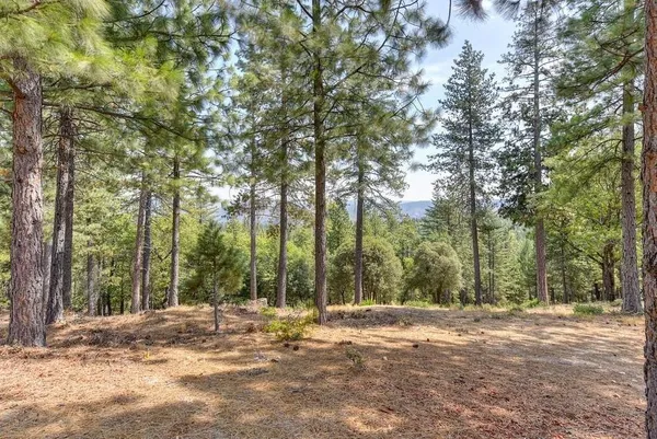 a view of a lush green field