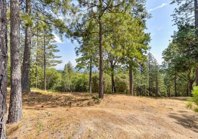 $127,500 | 6827 Gray Court, Foresthill, CA 95631