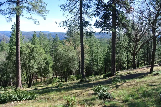 $127,500 | 6827 Gray Court, Foresthill, CA 95631