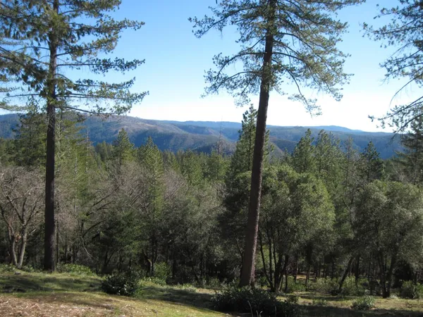 a view of a dry field