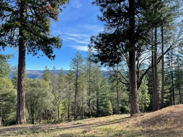 $127,500 | 6827 Gray Court, Foresthill, CA 95631