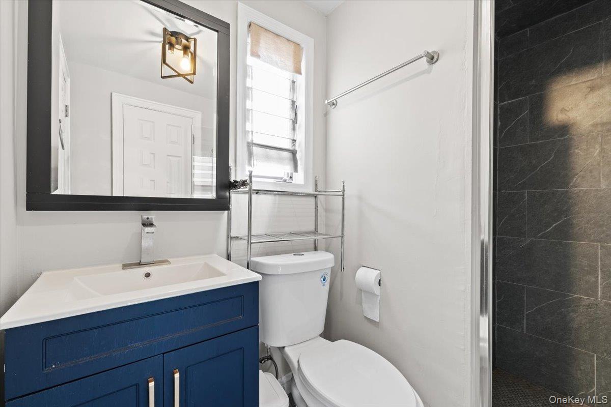 25 Pond Park Road Great Neck, NY 11023 - Photo 24 of 45 a bathroom with a toilet a sink and mirror