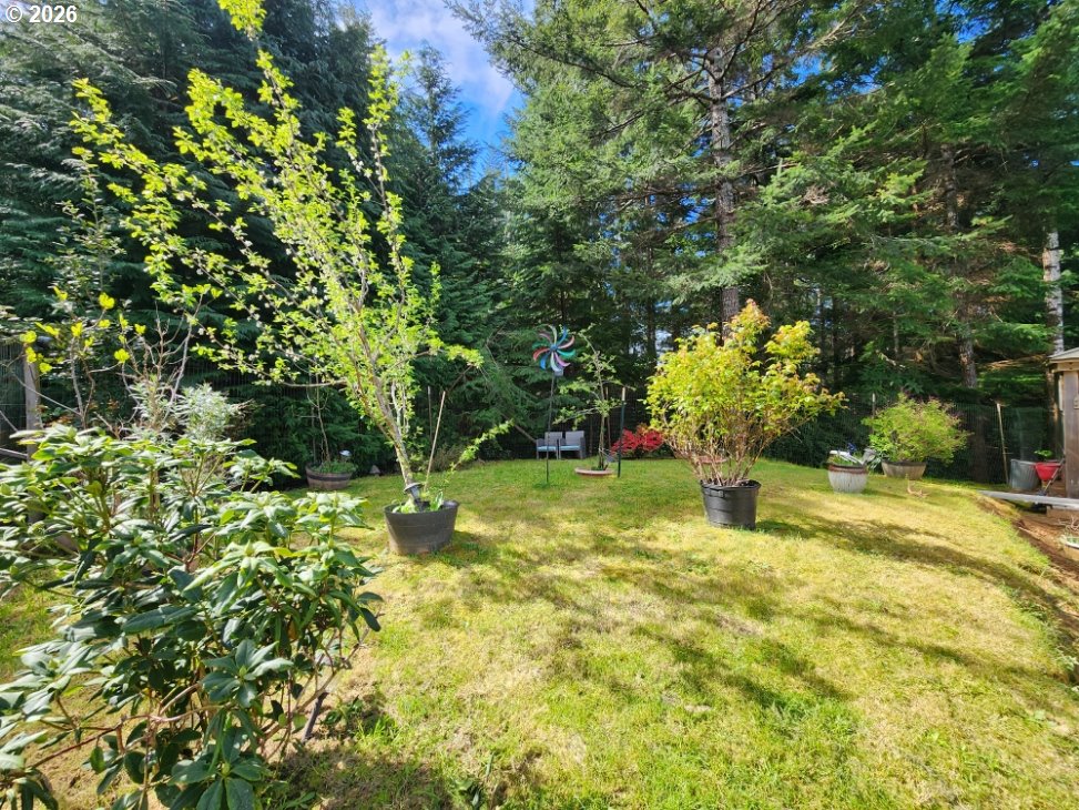 93490 Fir Road Port Orford, OR 97465 - Photo 30 of 47 a yard with a tree